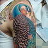 peacock