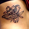 bird n the bush