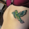 petes bird
