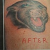 do over panther