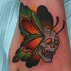 Skullmoths