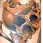 skull
