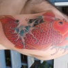korie's koi