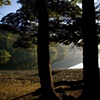 Campsite 2 