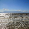 The Salton Sea 