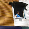 In the Window 
