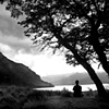 Supreme Stillness 