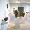 Gallery View