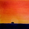 lavender sunrise