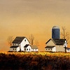 The Farm
