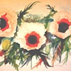 Poppies