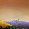 Tuscan Lavender