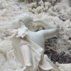 Untitled # 31 