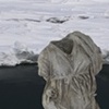 Untitled # 58