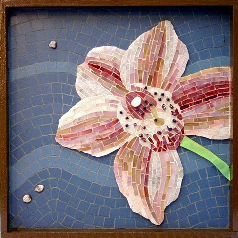 "Cymbidium Kimbodium" - Kim's orchid