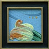 Squash Blossom