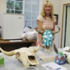 Seeley and her first skull