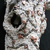 Of the Earth, detail 2
