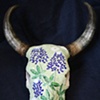 Bluebonnets Skull
