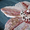 "Cymbidium Kimbodium" - Kim's orchid, detail