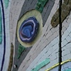 Primordial - detail 2