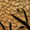 Roots, detail