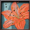 Tiger Lily 