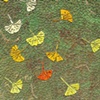 Wind Change