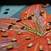 Tiger Lily - detail