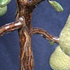 Partridge Optional, detail
