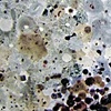 Agathist (detail)