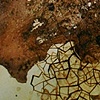 Viral