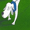 Perro blanco
