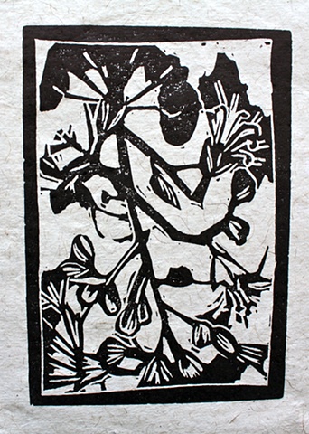 Crepe Myrtle Study