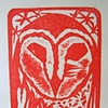 Barn Owl