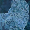 Snow Leopards