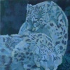 Untitled Folder