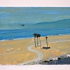 Helicopter Over the Beach
