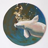 Porpoise