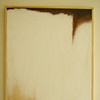 raw hide
