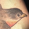 birds, birds, birds