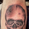skull  
