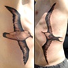 boids