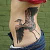 heron