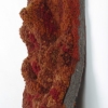 Inflamed Whetted Cuspate  Side View
