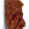 Inflamed Whetted Cuspate  Side View #2