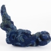 Acute Cerulean Slug