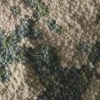 Pellucid Ecumenical Quietus # 2 Detail