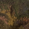 Stout Cudge ( Detail )