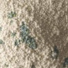 Pellucid Ecumenical Quietus # 1 Detail